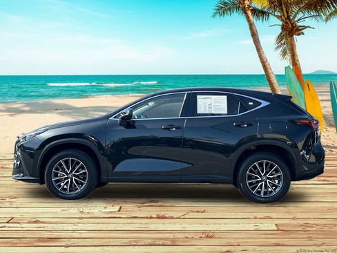 Used 2025 Lexus NX 350h AWD w/ Cold Area Package image 3
