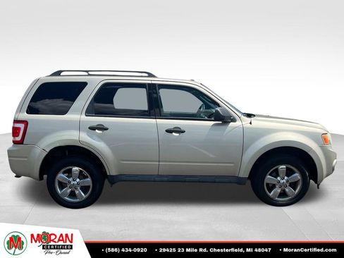 Used 2010 Ford Escape XLT FWD image 6