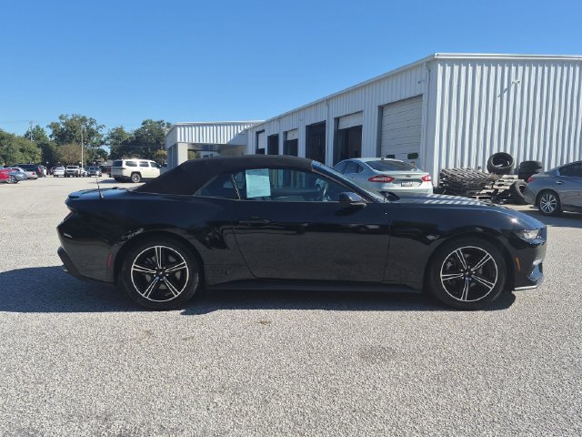 Used 2024 Ford Mustang Premium RWD image 2