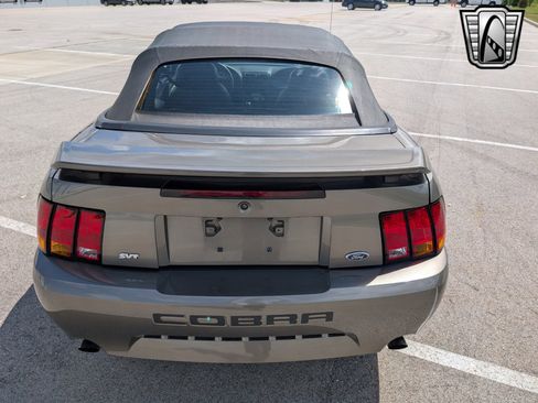 Used 2001 Ford Mustang Cobra image 5