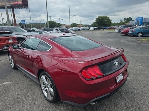 Used 2019 Ford Mustang Premium w/ Equipment Group 201A RWD image 6