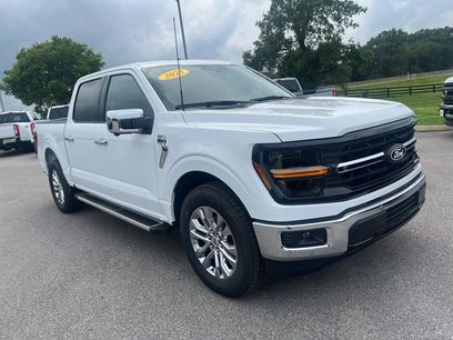 New 2025 Ford F150 XLT w/ Equipment Group 302A MID