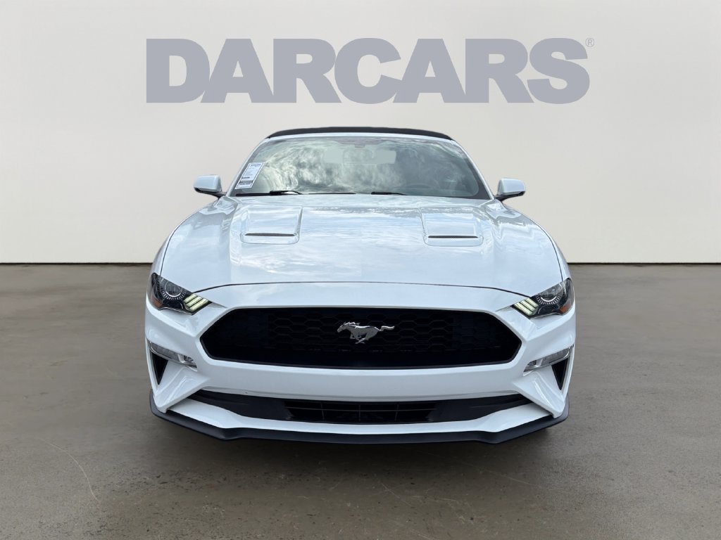 Used 2019 Ford Mustang Premium RWD image 2