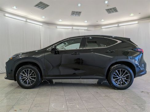 Used 2023 Lexus NX 350 AWD w/ Premium Package image 5