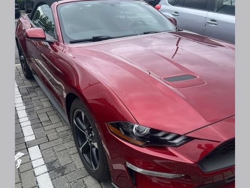 Used 2018 Ford Mustang Convertible w/ Equipment Group 101A RWD image 1
