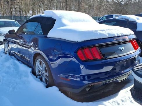 Used 2016 Ford Mustang Premium w/ Equipment Group 201A image 4