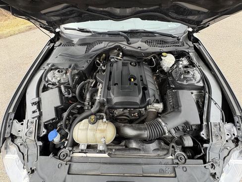 Used 2020 Ford Mustang Premium w/ Pony Package image 13