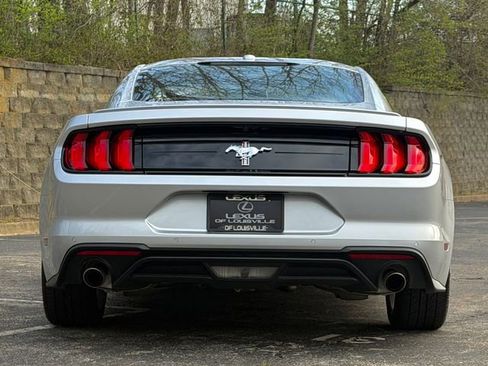 Used 2019 Ford Mustang Premium w/ Equipment Group 201A image 4