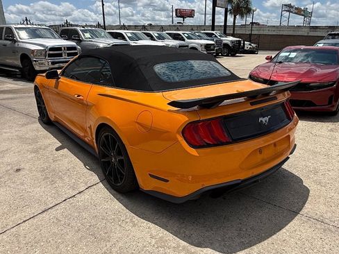 Used 2019 Ford Mustang Premium w/ Equipment Group 201A RWD image 5