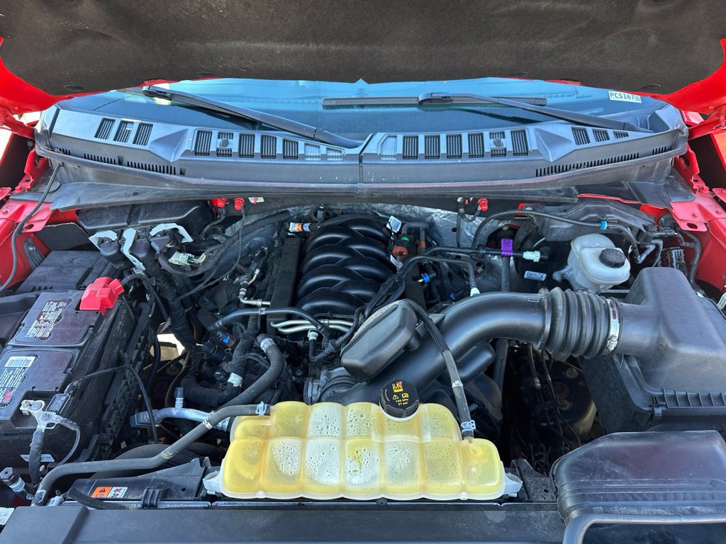 Used 2019 Ford F150 XLT w/ Equipment Group 302A Luxury AWD/4WD image 29