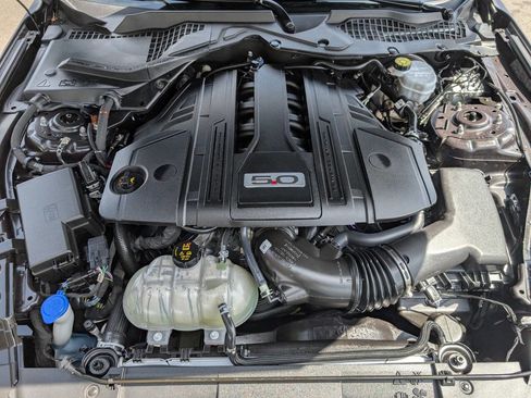 Used 2022 Ford Mustang GT w/ Equipment Group 301A RWD image 9