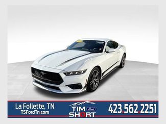 Used 2024 Ford Mustang EcoBoost w/ Wheel & Stripe Package video 1