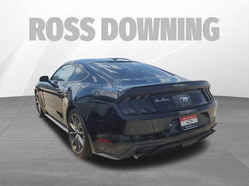 Used 2019 Ford Mustang Premium w/ Equipment Group 201A RWD image 6