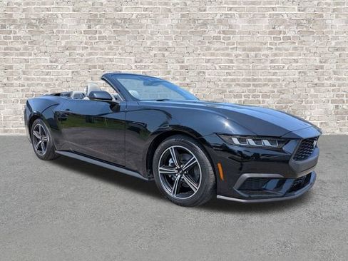 Used 2024 Ford Mustang Premium RWD image 1