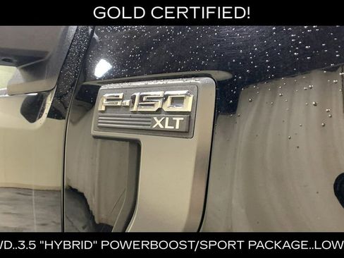 Certified 2023 Ford F150 XLT w/ Equipment Group 302A High image 10