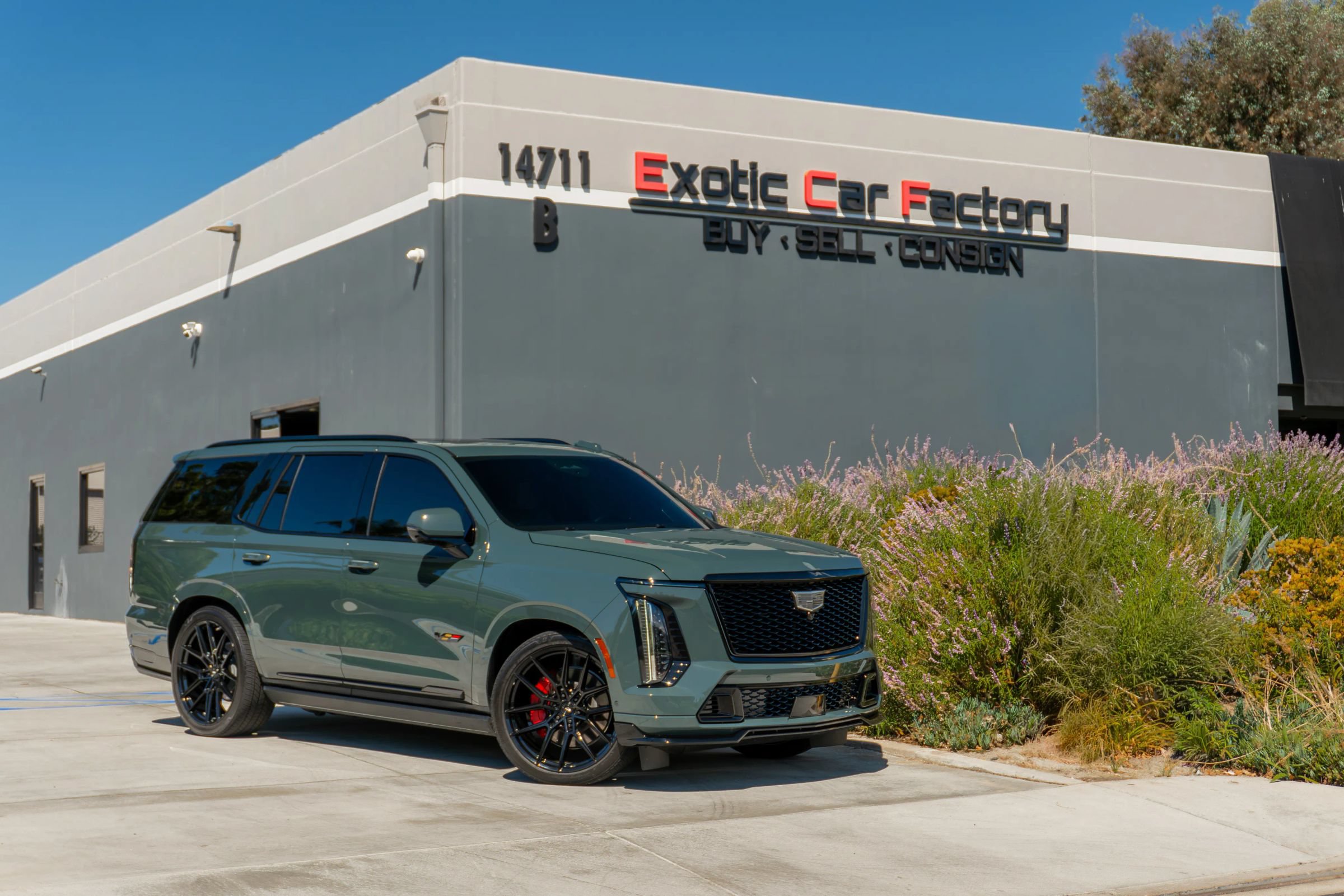 Used 2025 Cadillac Escalade V w/ LPO, ONYX Package AWD/4WD image 1