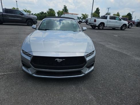 Used 2024 Ford Mustang Premium RWD image 2