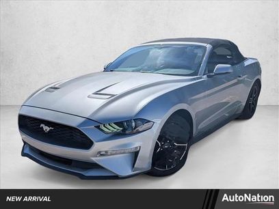 Used 2019 Ford Mustang Premium