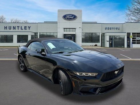 Used 2024 Ford Mustang Premium RWD image 3