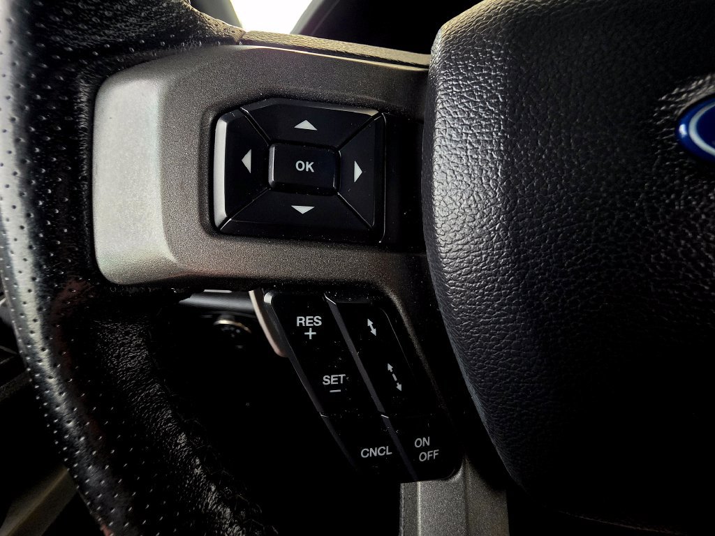 Used 2020 Ford F150 Raptor w/ Equipment Group 802A Luxury AWD/4WD image 30