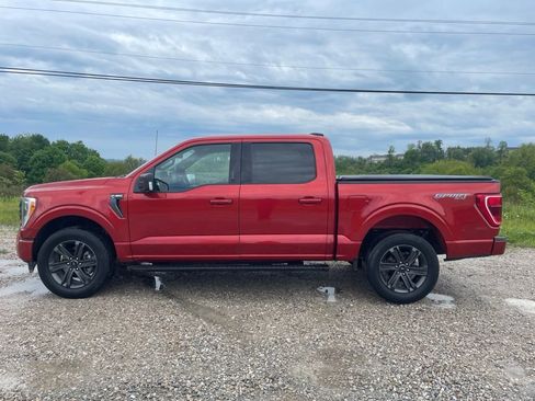 Used 2023 Ford F150 XLT w/ Equipment Group 302A High AWD/4WD image 7