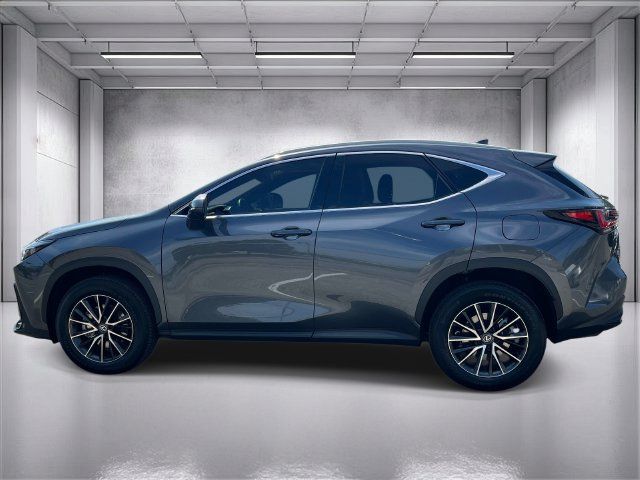 Certified 2024 Lexus NX 350h AWD image 6