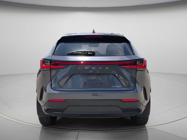 Used 2024 Lexus NX 250 FWD image 5