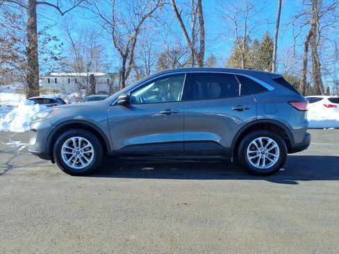 Used 2022 Ford Escape SE w/ Convenience Package image 2