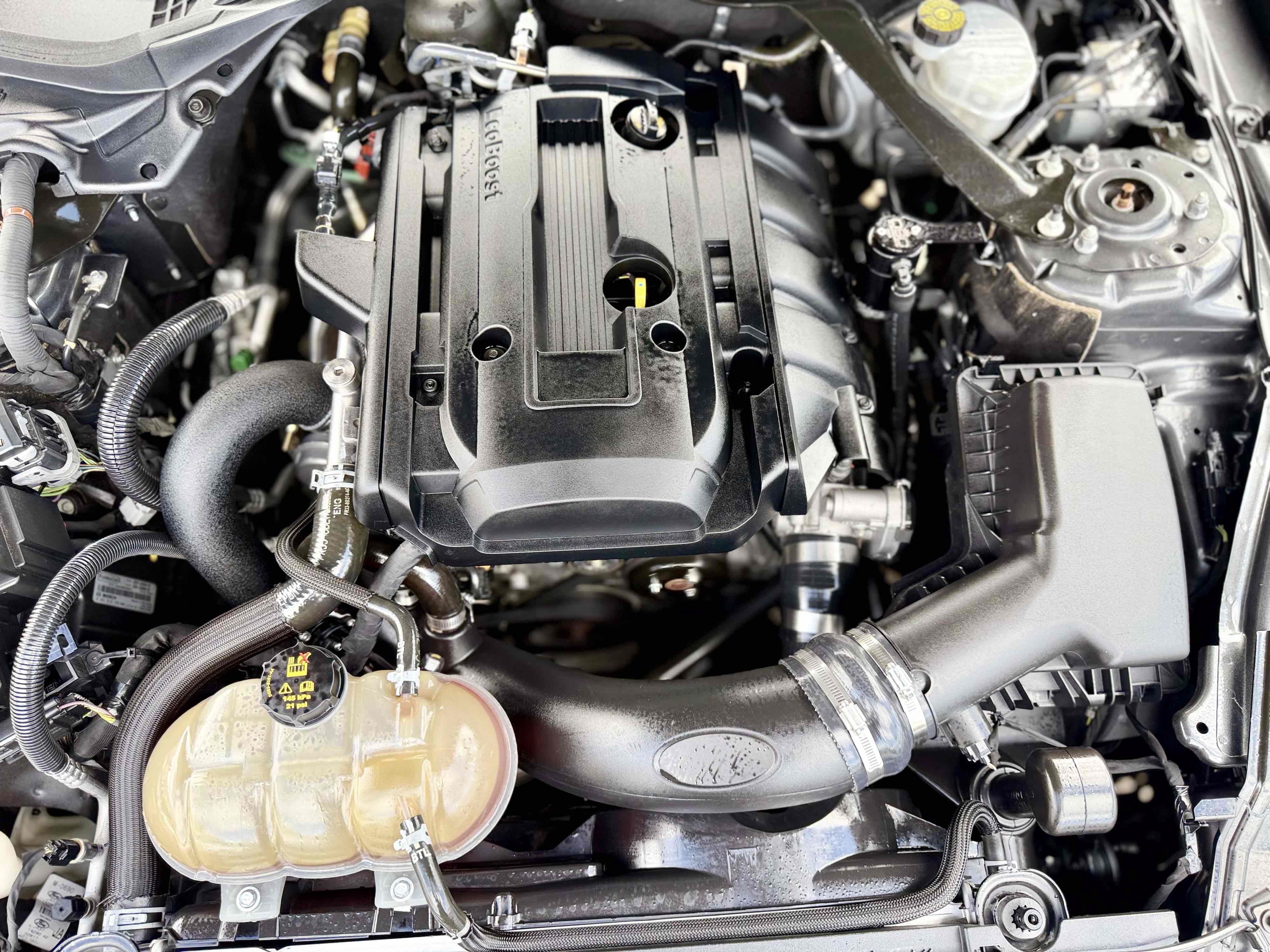 Used 2018 Ford Mustang Premium RWD image 14
