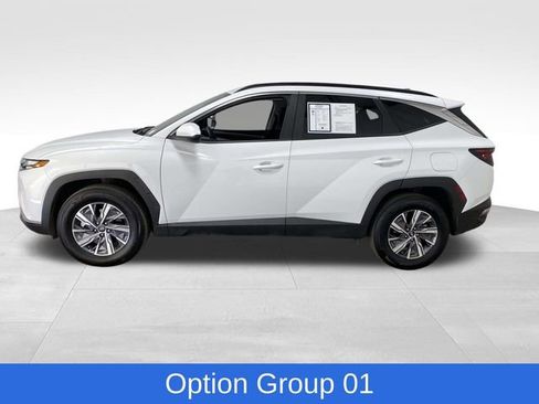 Certified 2024 Hyundai Tucson Blue image 2