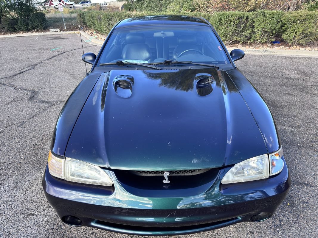 Used 1996 Ford Mustang Cobra RWD image 3