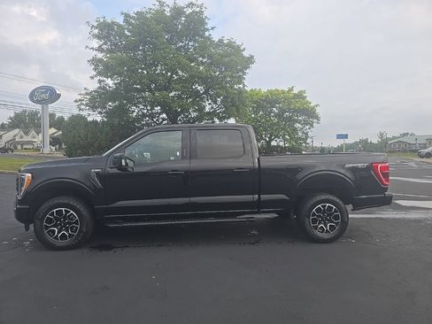 Used 2023 Ford F150 XLT w/ Equipment Group 302A High AWD/4WD image 4