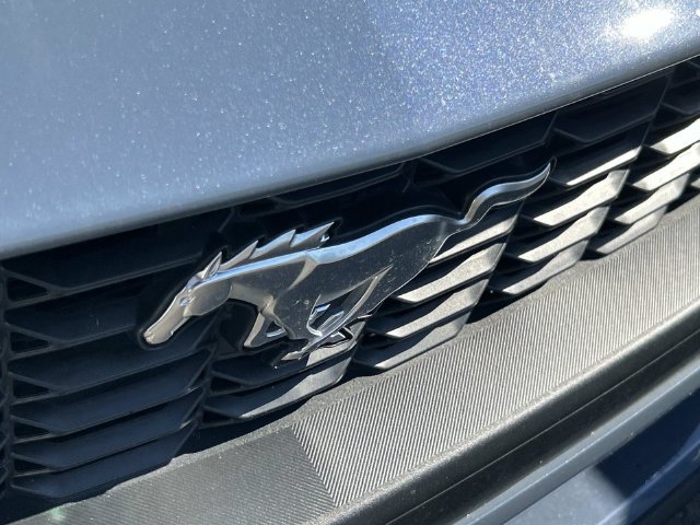 Used 2024 Ford Mustang Premium RWD image 5