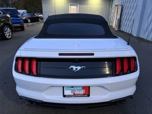 Used 2019 Ford Mustang Premium image 5