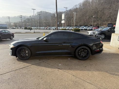 Used 2019 Ford Mustang Coupe w/ Ecoboost Performance Package image 4