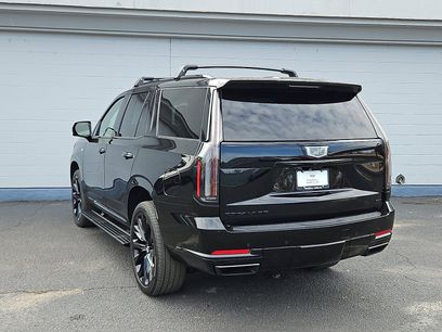 New 2026 Cadillac Escalade Platinum Sport w/ LPO, ONYX Package