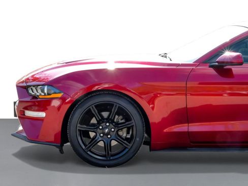 Used 2019 Ford Mustang Coupe w/ Black Accent Package image 12