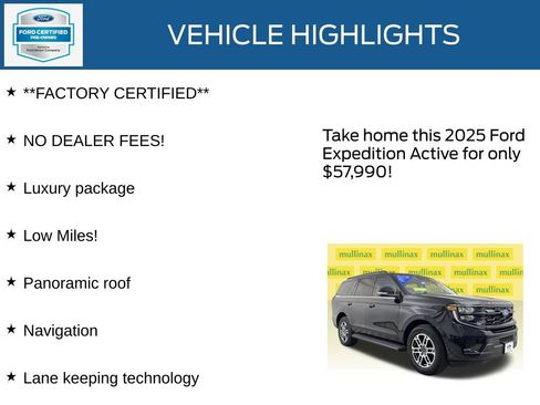 Used 2025 Ford Expedition Active image 12