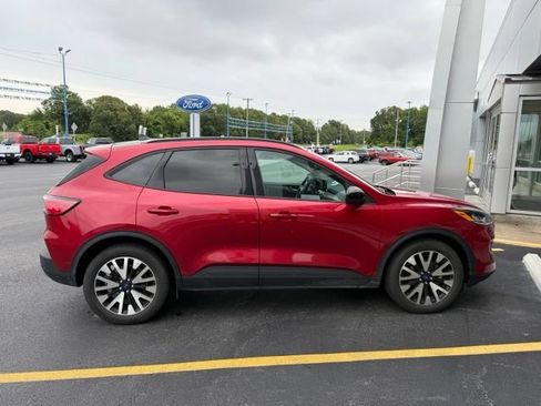 Used 2020 Ford Escape SE Sport AWD/4WD image 4