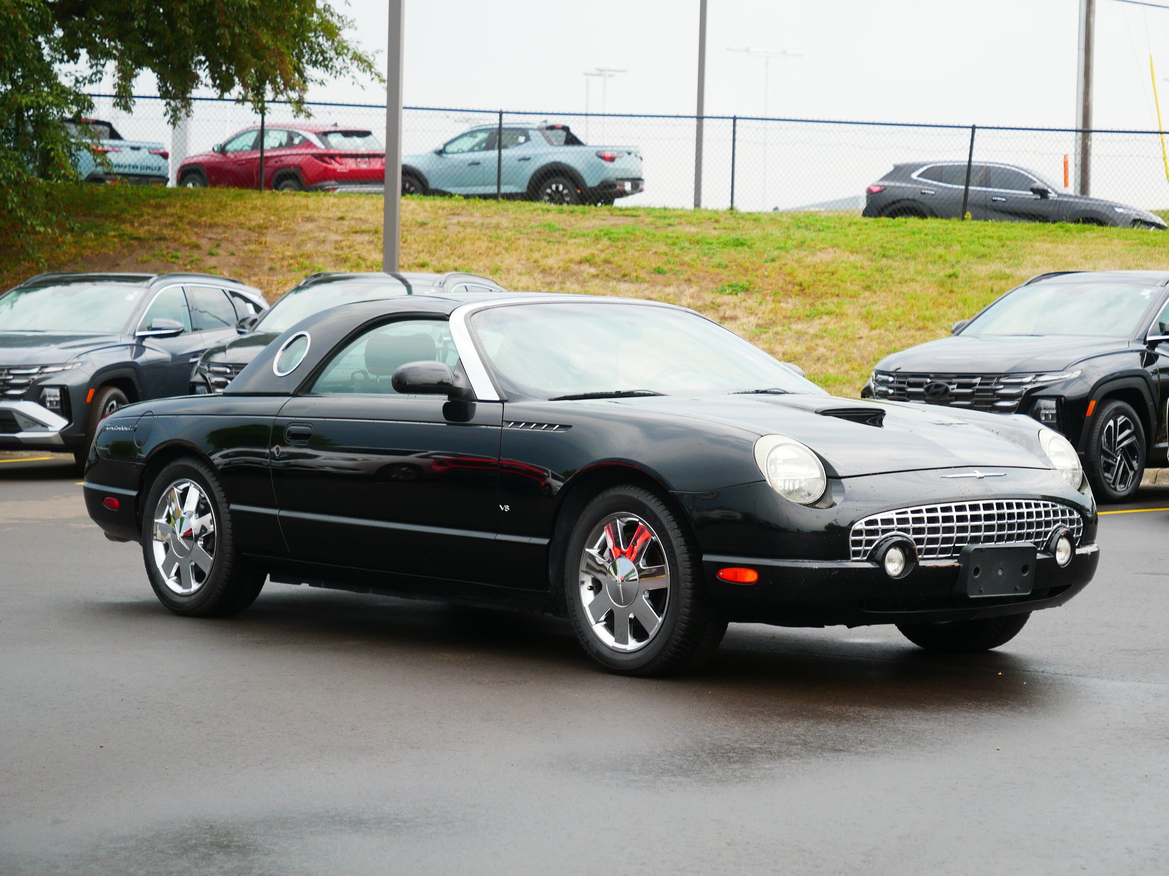 Used 2002 Ford Thunderbird RWD image 4