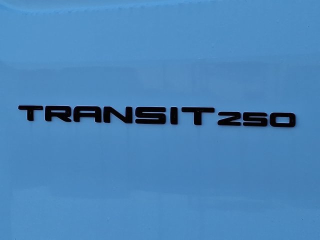 New 2026 Ford Transit 250 Low Roof w/ Load Area Protection Package RWD image 15