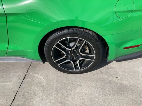 Used 2019 Ford Mustang Premium w/ Equipment Group 201A image 9