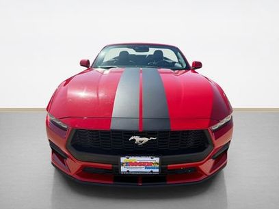 Certified 2019 Ford Mustang Premium w/ Equipment Group 201A