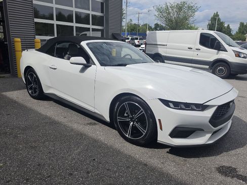 Used 2024 Ford Mustang Premium RWD image 7