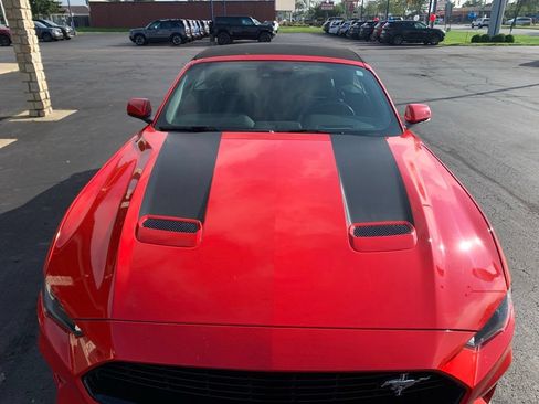 Used 2019 Ford Mustang GT Premium w/ California Special Package RWD image 9