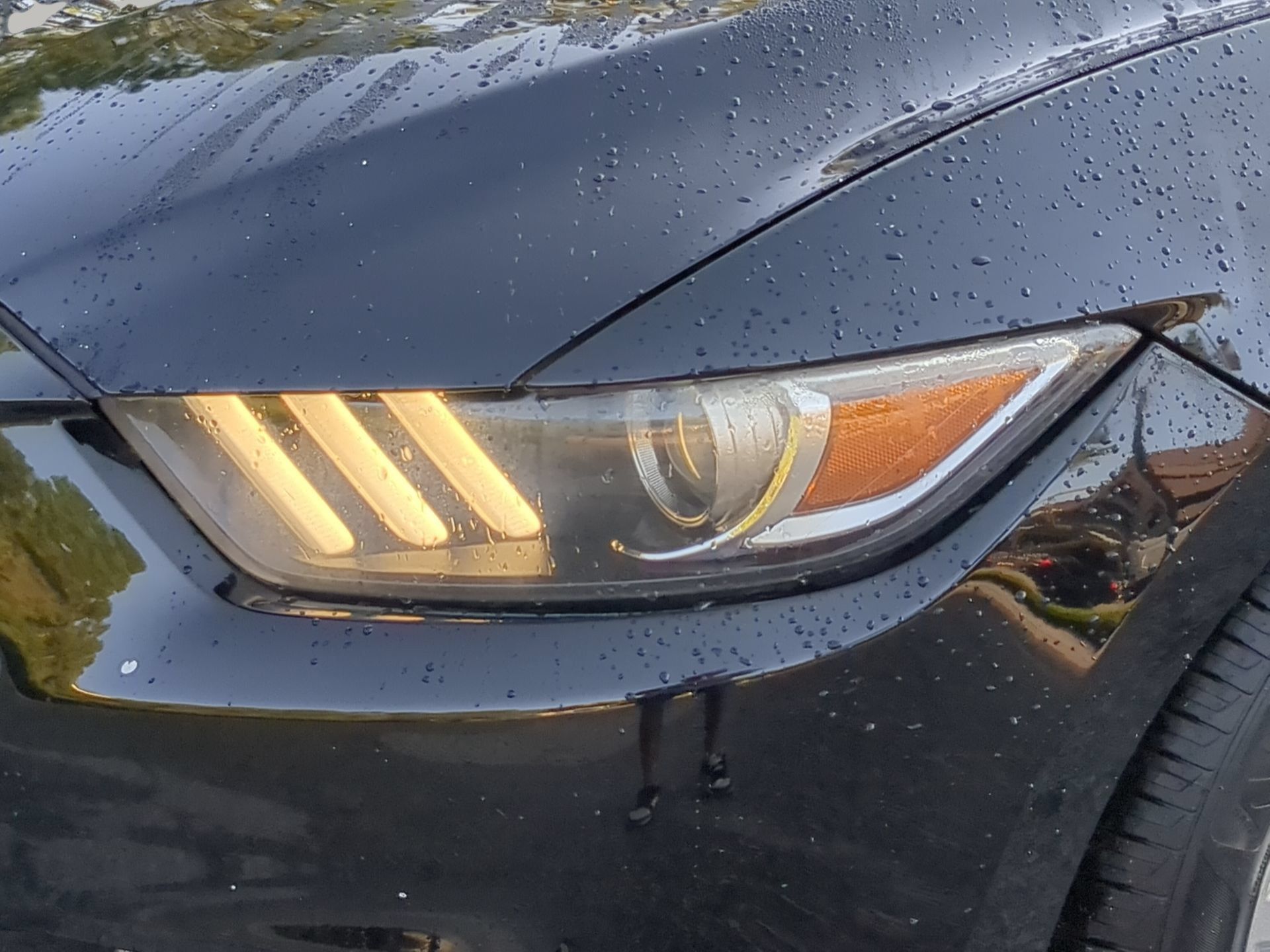 Used 2016 Ford Mustang Convertible RWD image 44