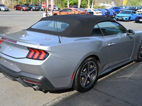 Used 2024 Ford Mustang Premium RWD image 12