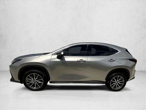 Used 2025 Lexus NX 250 FWD w/ Cold Area Package image 4