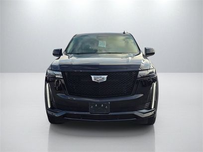 Used 2024 Cadillac Escalade ESV Sport Platinum w/ LPO, ONYX Package