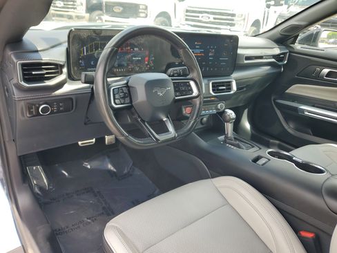 Used 2025 Ford Mustang Premium w/ Mustang Nite Pony Package RWD image 11